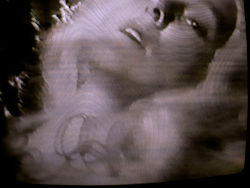 courtesy Katherine Sanderson