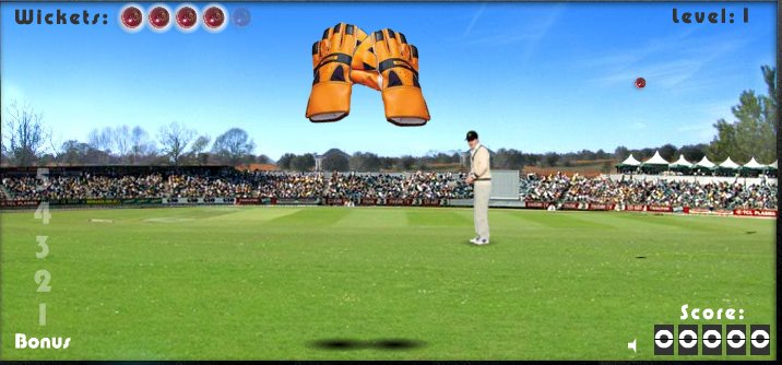 test catch cricket