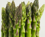 asparagus tipps and alistair