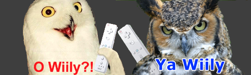 wiily